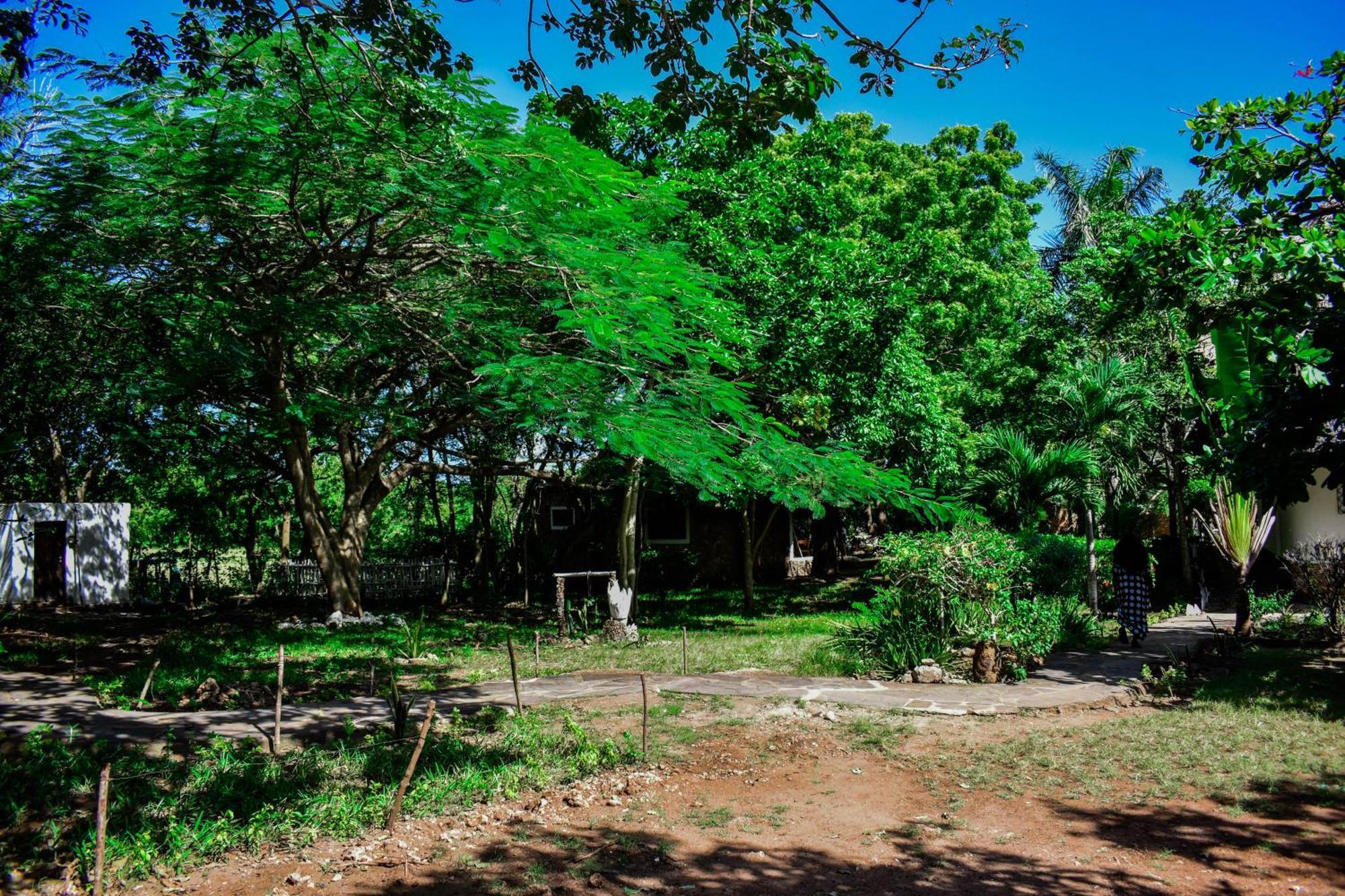 African Hut Tiny Cottage Diani Beach Extérieur photo
