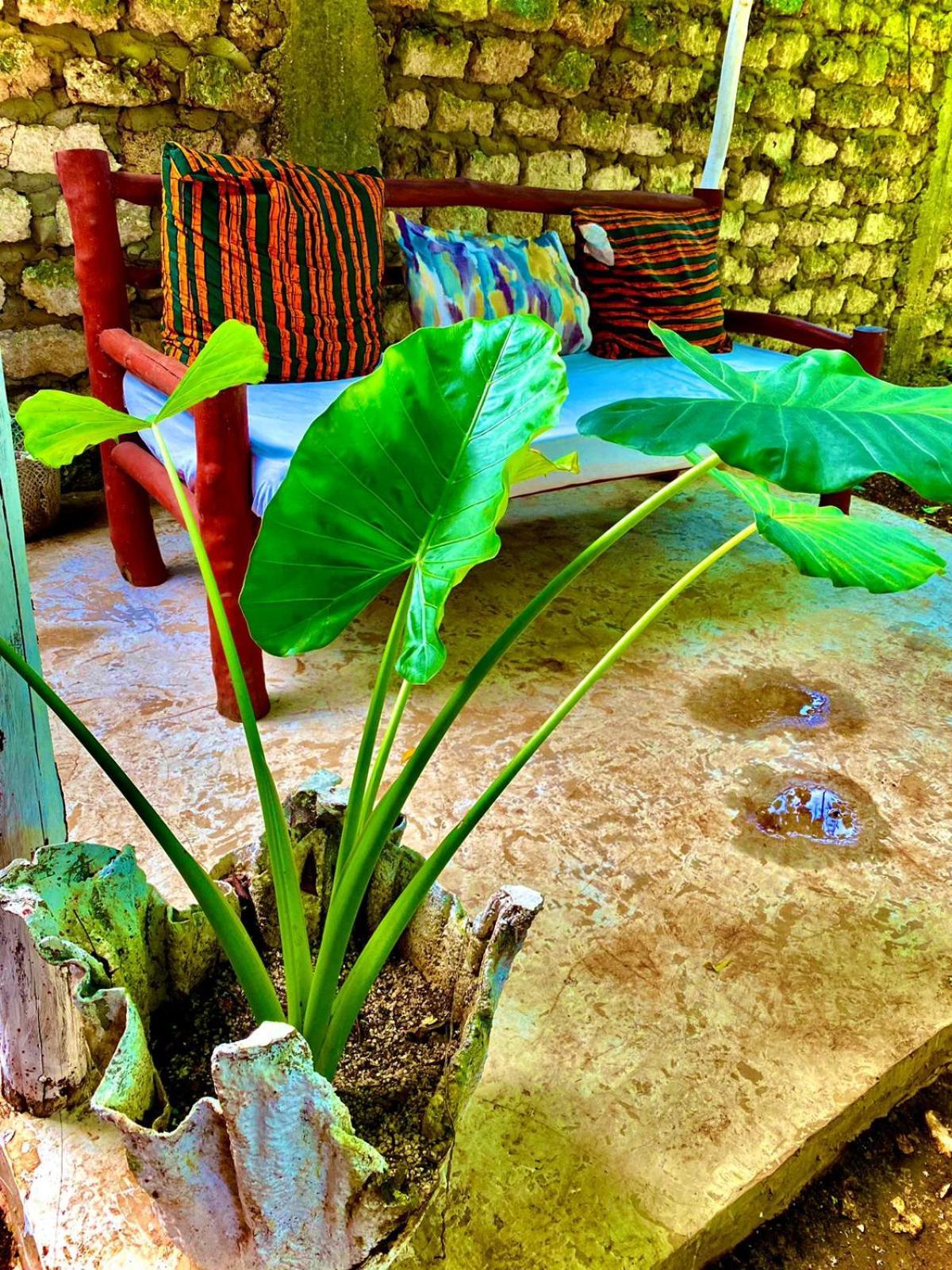 African Hut Tiny Cottage Diani Beach Extérieur photo